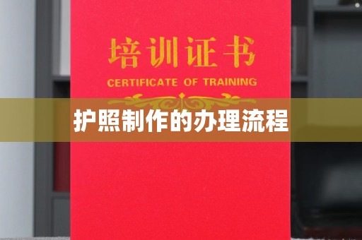 田林护照制作的办理流程