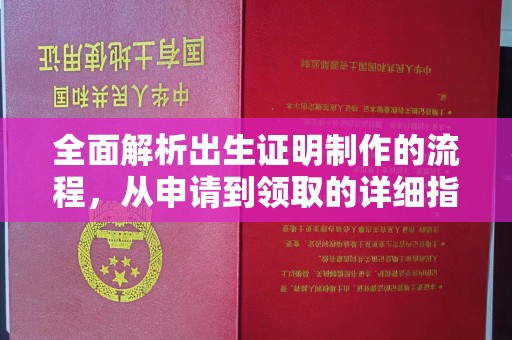 田林全面解析出生证明制作的流程，从申请到领取的详细指南