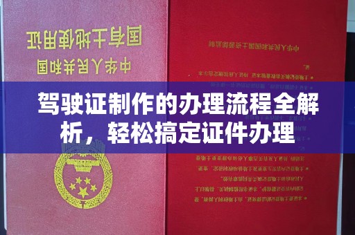 田林驾驶证制作的办理流程全解析，轻松搞定证件办理