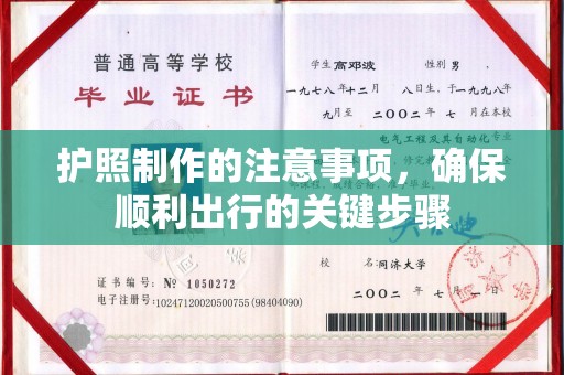 田林护照制作的注意事项，确保顺利出行的关键步骤