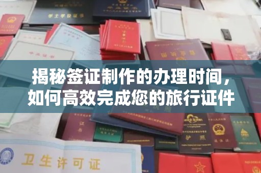 田林揭秘签证制作的办理时间，如何高效完成您的旅行证件