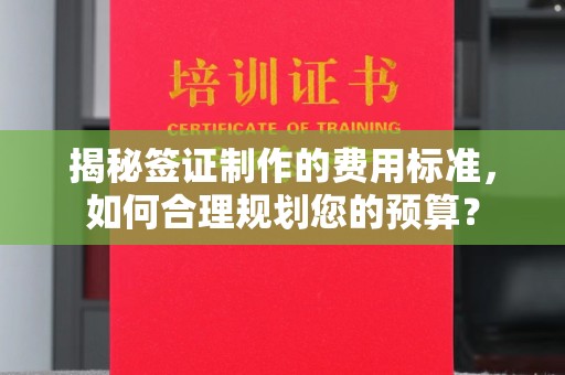 田林揭秘签证制作的费用标准，如何合理规划您的预算？