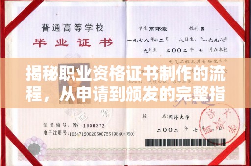 田林揭秘职业资格证书制作的流程，从申请到颁发的完整指南