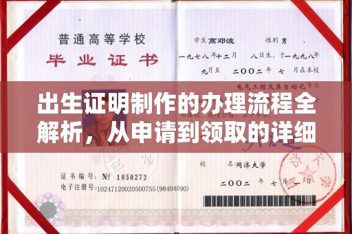 田林出生证明制作的办理流程全解析，从申请到领取的详细指南
