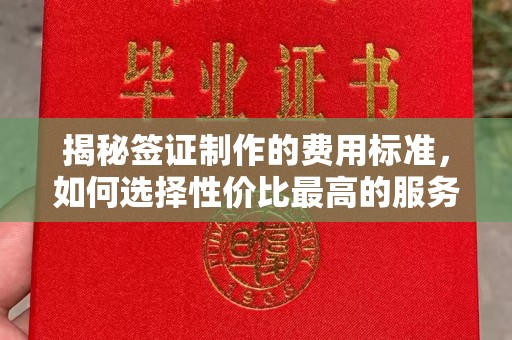 田林揭秘签证制作的费用标准，如何选择性价比最高的服务？