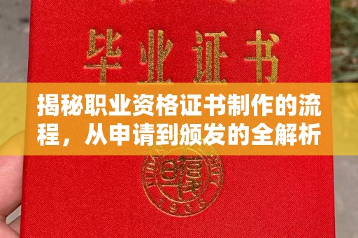 田林揭秘职业资格证书制作的流程，从申请到颁发的全解析