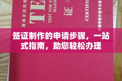 田林签证制作的申请步骤，一站式指南，助您轻松办理